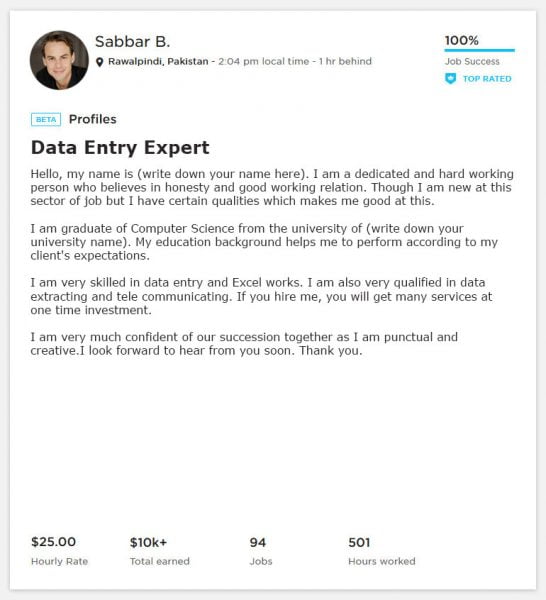 Data Entry Overview Sample Example For Upwork Webson Job