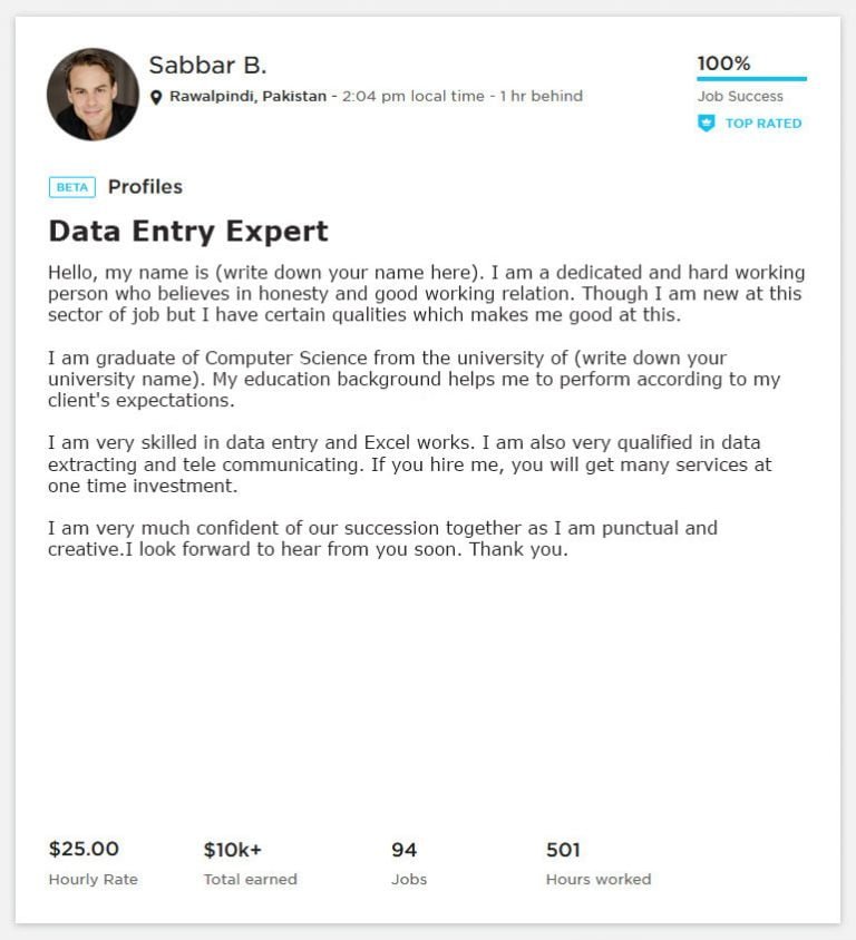 data-entry-overview-sample-example-for-upwork-2023-webson-job