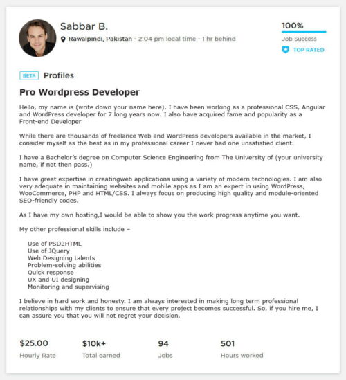 Upwork Overview Sample for Wordpress Developer - Webson Job