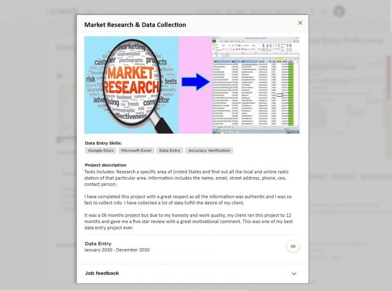 Data Entry Portfolio Sample For Market Research Data Collection 768x570 